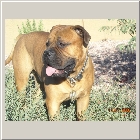 Kenoa and Clints from Larry Coldwater Payton 14mths1008b.jpg